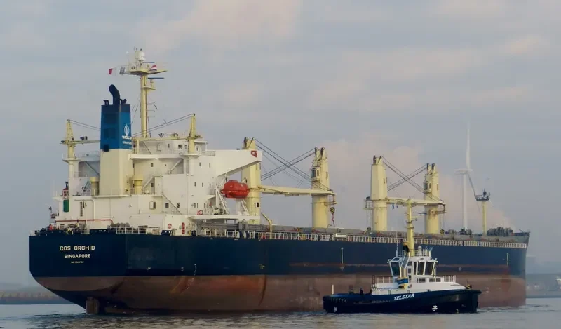 COS ORCHID Bulk Carrier IMO 9308704 photo 3