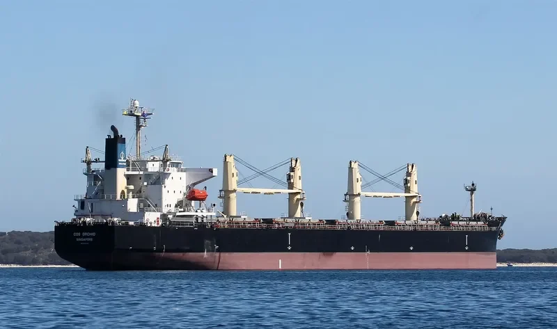 COS ORCHID Bulk Carrier IMO 9308704 photo 6