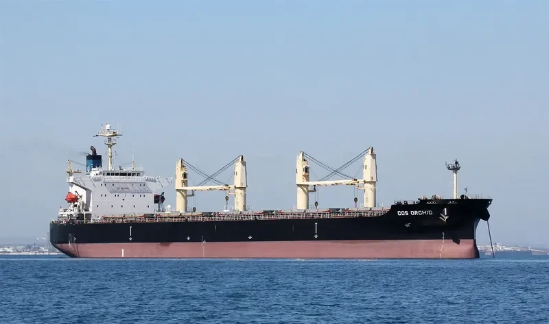 COS ORCHID Bulk Carrier IMO 9308704 photo 7