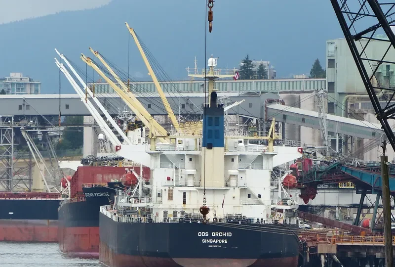 COS ORCHID Bulk Carrier IMO 9308704 photo 10