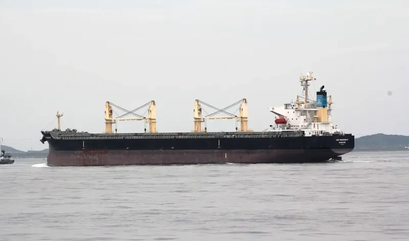 COS PROSPERITY Bulk Carrier IMO 9308716 photo 2