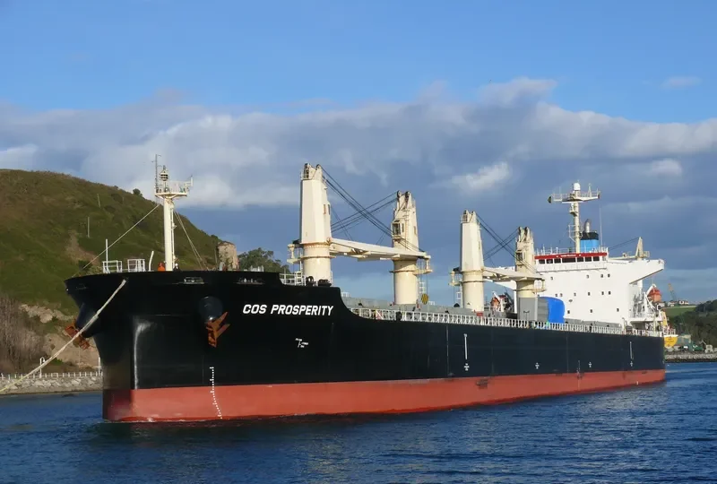 COS PROSPERITY Bulk Carrier IMO 9308716 photo 7