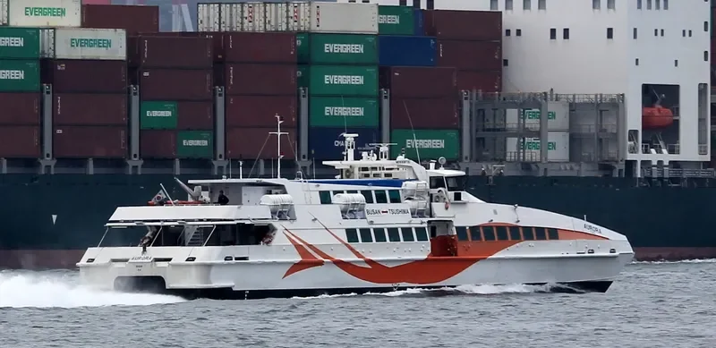 AURORA Passenger Ship IMO 9308730 photo 7