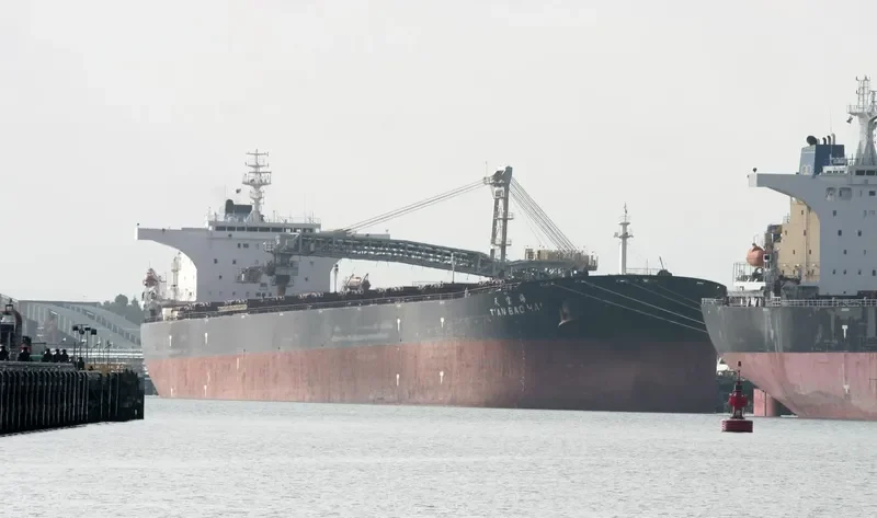 TIAN BAO HAI Bulk Carrier IMO 9309019 photo 3