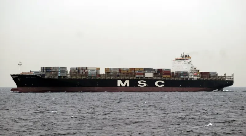 MSC HEIDI Container Ship IMO 9309473 photo 4