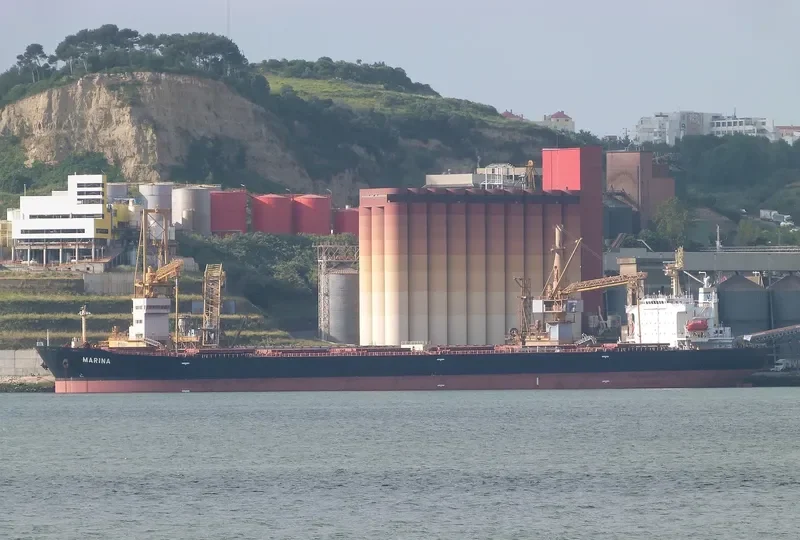 MARINA Bulk Carrier IMO 9309497