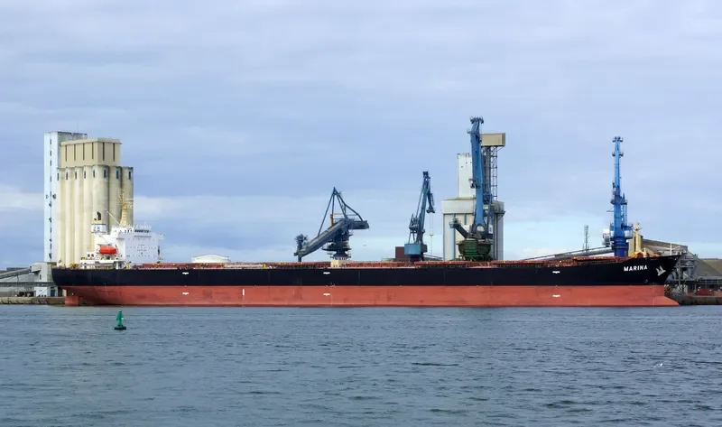 MARINA Bulk Carrier IMO 9309497 photo 4