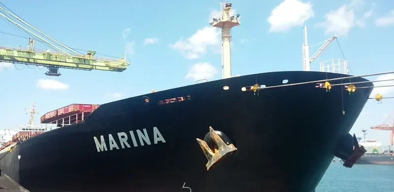 MARINA Bulk Carrier IMO 9309497 photo 5