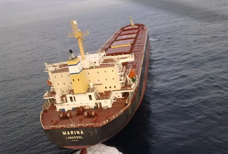 MARINA Bulk Carrier IMO 9309497 photo 6