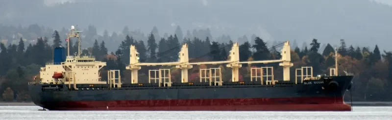 HAI NAM 89 General Cargo IMO 9309605 photo 3
