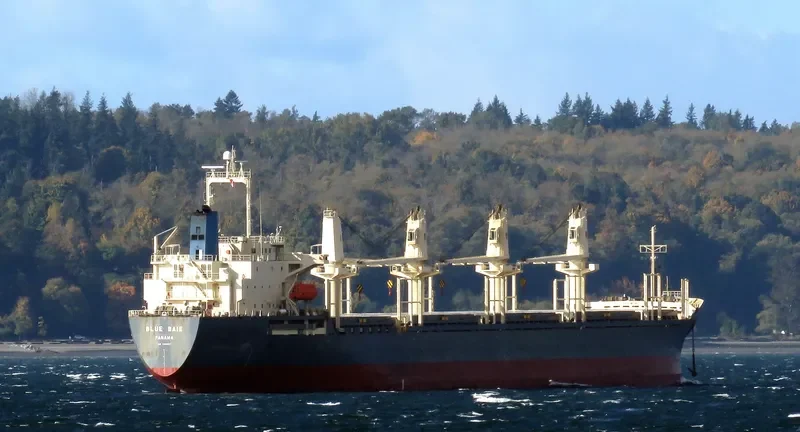 BLUE BAIE General Cargo IMO 9309617
