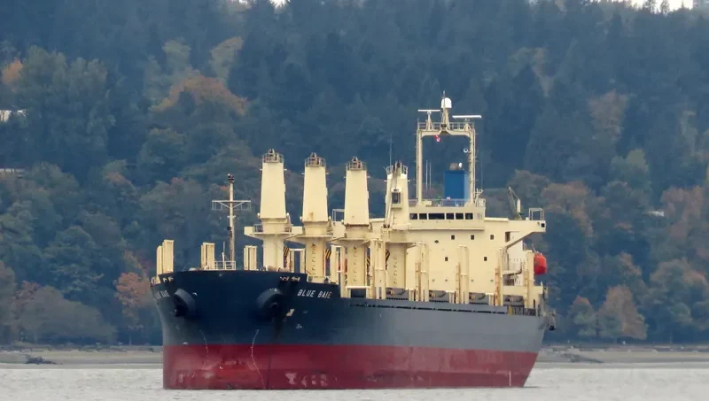 BLUE BAIE General Cargo IMO 9309617 photo 2