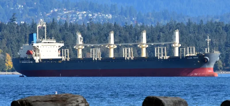 BLUE BAIE General Cargo IMO 9309617 photo 4