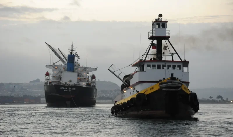 OCEAN BREEZE Bulk Carrier IMO 9309667 photo 2