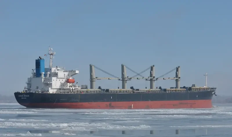 OCEAN BREEZE Bulk Carrier IMO 9309667 photo 3