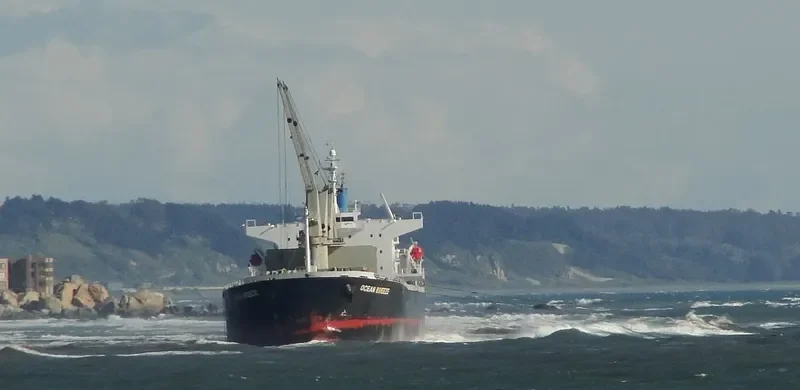 OCEAN BREEZE Bulk Carrier IMO 9309667 photo 7