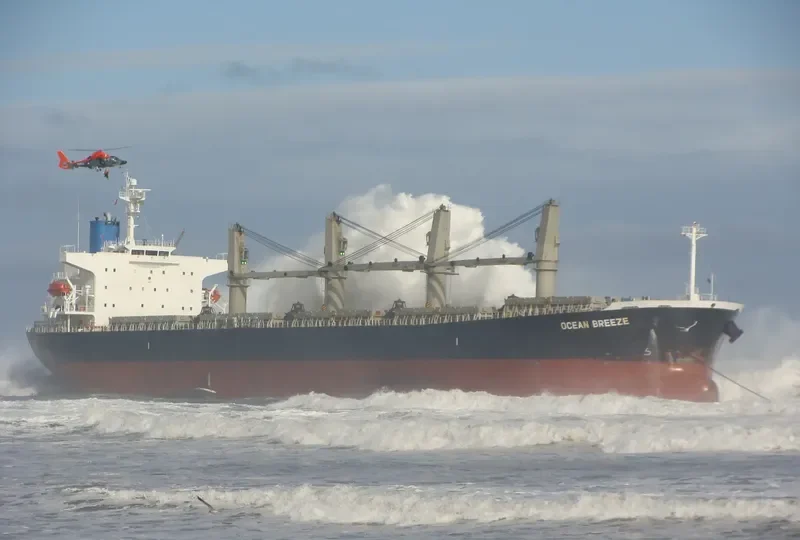 OCEAN BREEZE Bulk Carrier IMO 9309667 photo 10