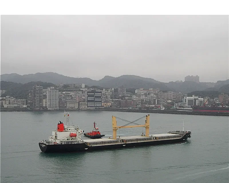 BMC PANDORA Bulk Carrier IMO 9309679 photo 9