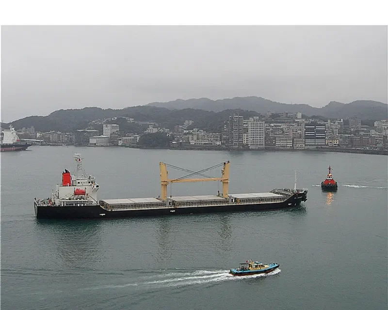 BMC PANDORA Bulk Carrier IMO 9309679 photo 10