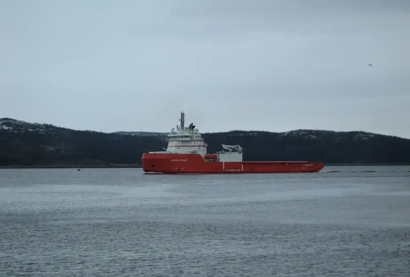 VLADISLAV STRIZHOV General Cargo IMO 9310018 photo 7