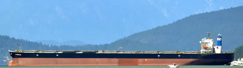 KYMOPOLIA Bulk Carrier IMO 9310123 photo 3