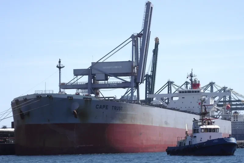 TRADERSHIP Bulk Carrier IMO 9310135 photo 10