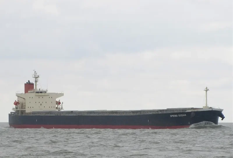 PANASIATIC Bulk Carrier IMO 9310276 photo 3