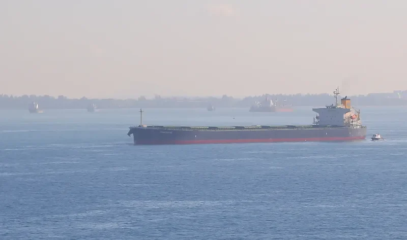 PANASIATIC Bulk Carrier IMO 9310276 photo 4