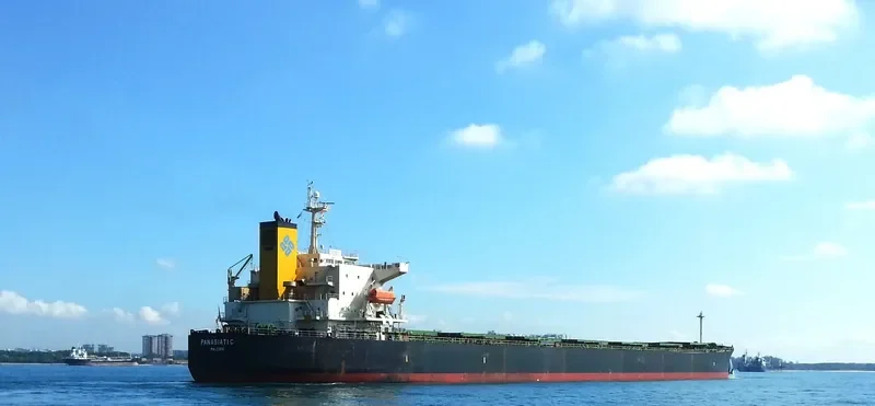 PANASIATIC Bulk Carrier IMO 9310276 photo 5
