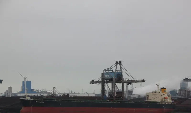 PANASIATIC Bulk Carrier IMO 9310276 photo 6