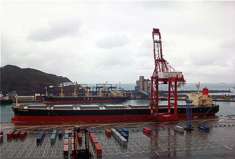 PANASIATIC Bulk Carrier IMO 9310276 photo 8