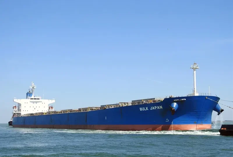 BULK JAPAN Bulk Carrier IMO 9310290 photo 3