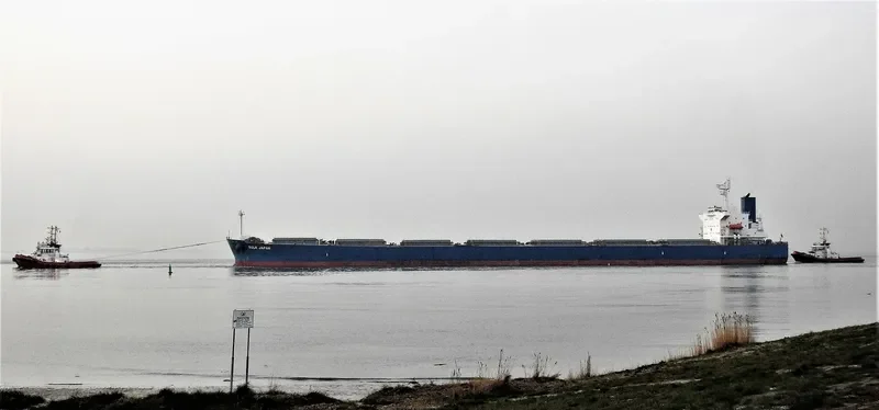 BULK JAPAN Bulk Carrier IMO 9310290 photo 6