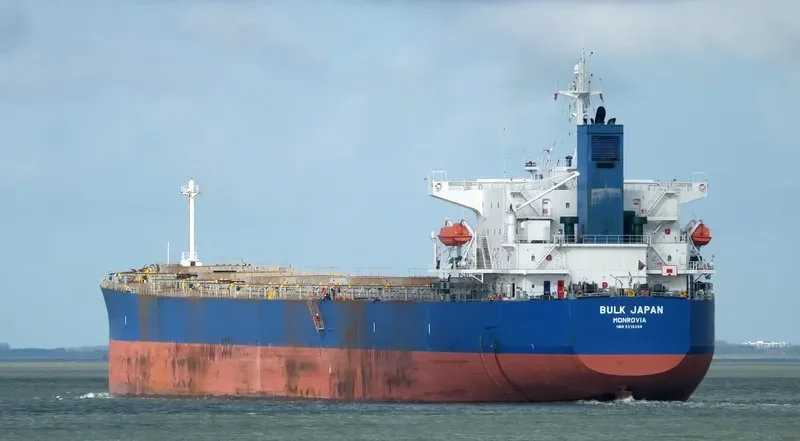 BULK JAPAN Bulk Carrier IMO 9310290 photo 9