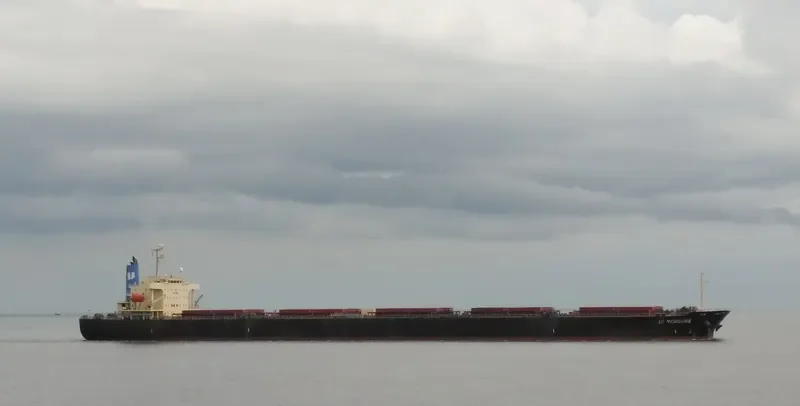 VERDURE WAVE Bulk Carrier IMO 9310422