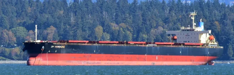 VERDURE WAVE Bulk Carrier IMO 9310422 photo 9