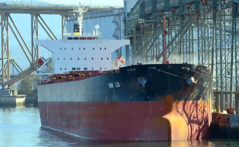 ZHONG TUO FU XING Bulk Carrier IMO 9310446 photo 5