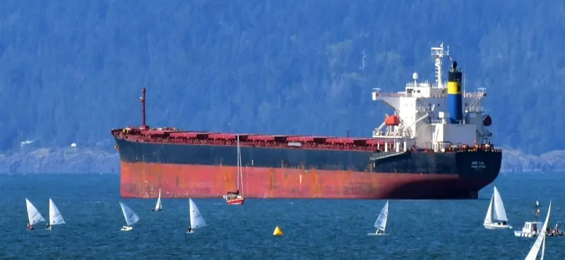 ZHONG TUO FU XING Bulk Carrier IMO 9310446 photo 8