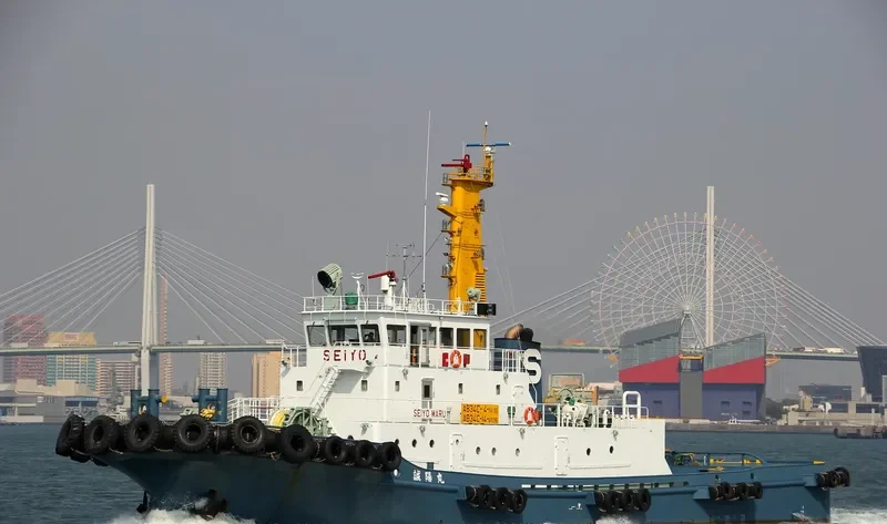 SEIYO MARU General Cargo IMO 9310458