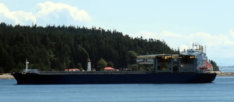 STAR JAVA Container Ship IMO 9310513 photo 3