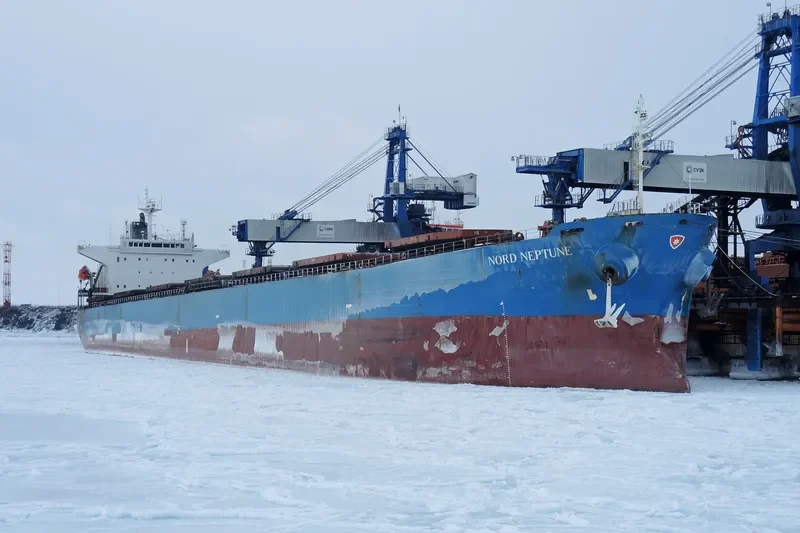 THE GIVER Bulk Carrier IMO 9310537