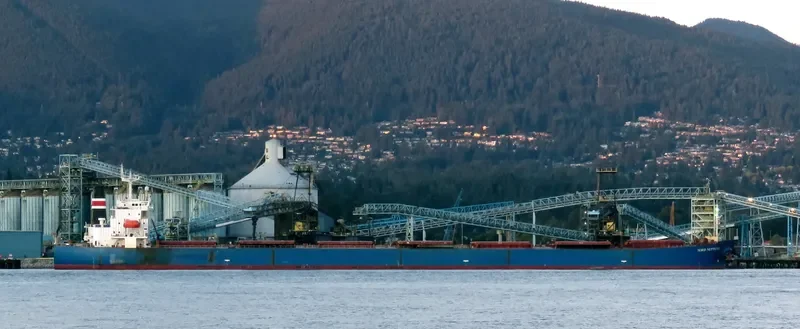 THE GIVER Bulk Carrier IMO 9310537 photo 2