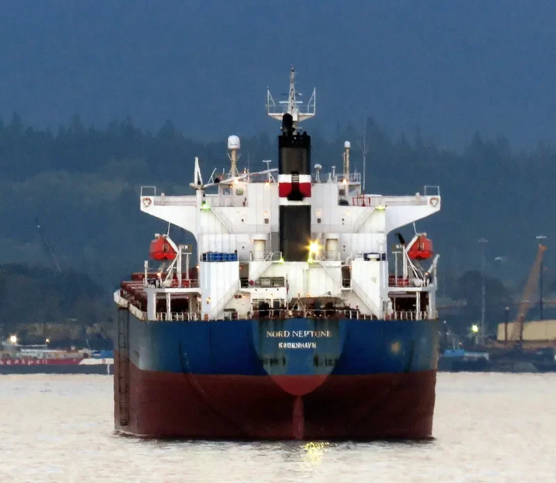 THE GIVER Bulk Carrier IMO 9310537 photo 3