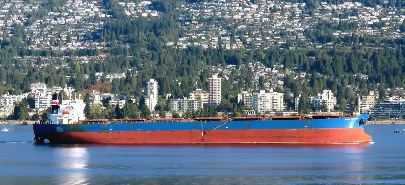 THE GIVER Bulk Carrier IMO 9310537 photo 4