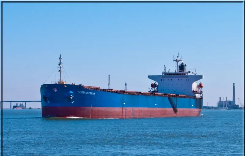 THE GIVER Bulk Carrier IMO 9310537 photo 10