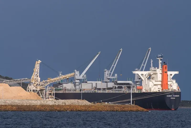 ALBANY PIONEER Bulk Carrier IMO 9310549 photo 3