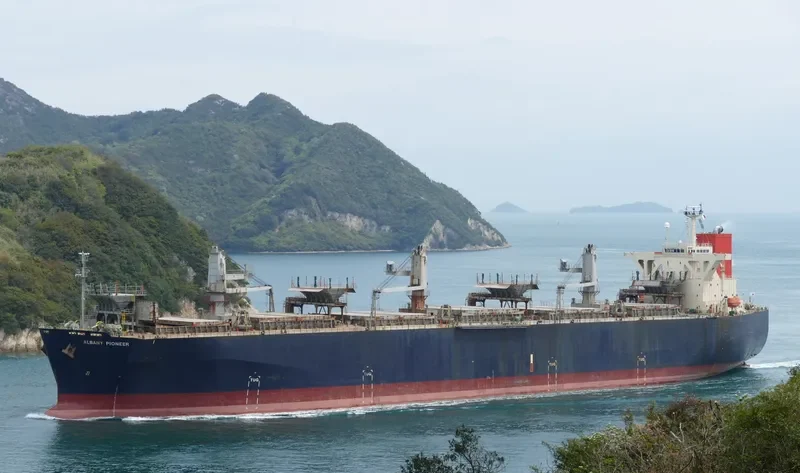 ALBANY PIONEER Bulk Carrier IMO 9310549 photo 7