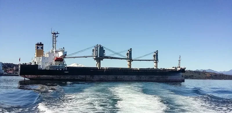CORRAL Bulk Carrier IMO 9310575 photo 4