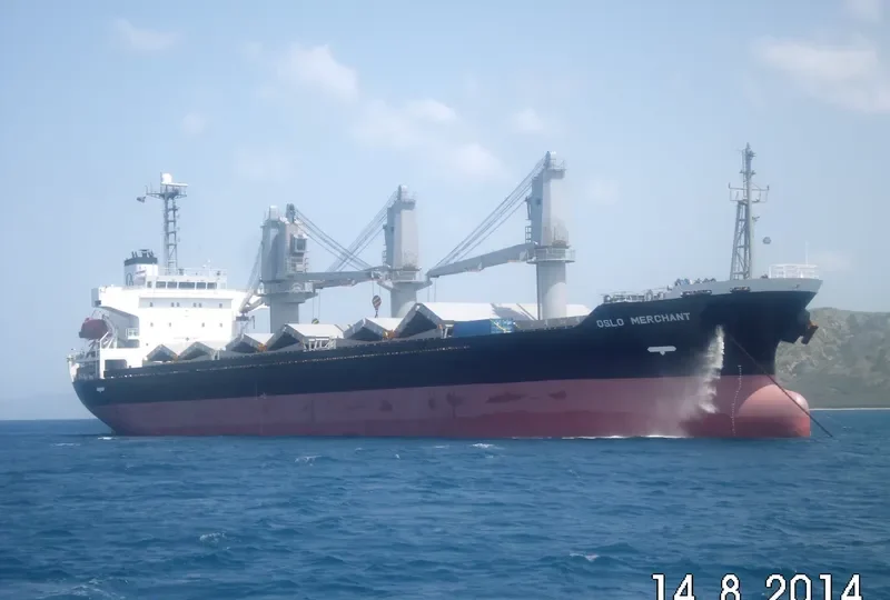 CORRAL Bulk Carrier IMO 9310575 photo 8
