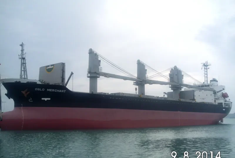 CORRAL Bulk Carrier IMO 9310575 photo 9